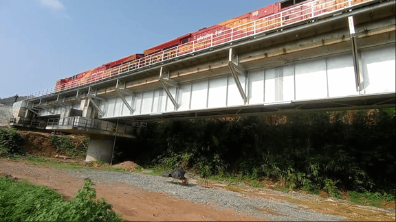 Structural Health Monitoring at Railway Bridge, Beed, Maharashtra